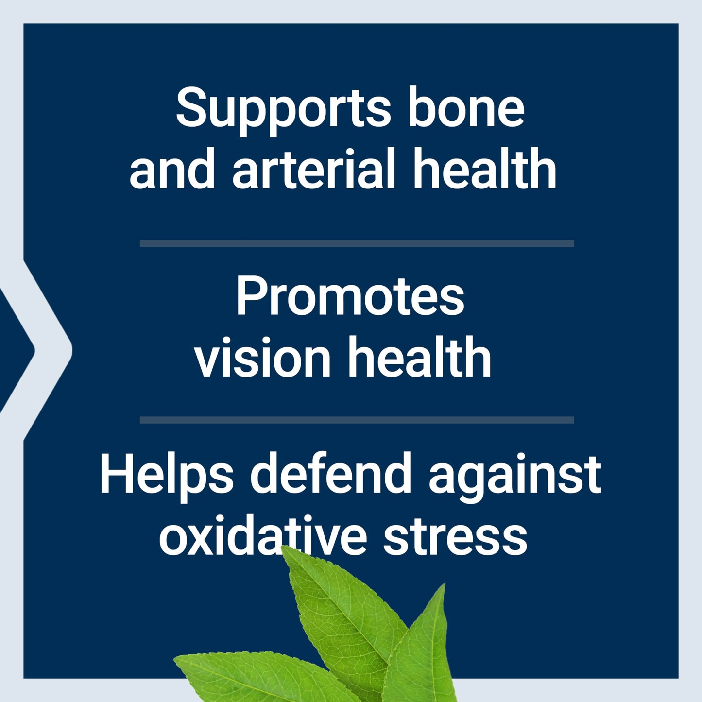 Life Extension Once-Daily Health Booster, Vitamins E, K1 & K2, phospholipids, Fat-Soluble nutrients for Eye Health, Bone Health, Heart Health, Gluten-Free, 1 Daily, Non-GMO, 30 softgels Life ExtensionBuy Supplements Australia