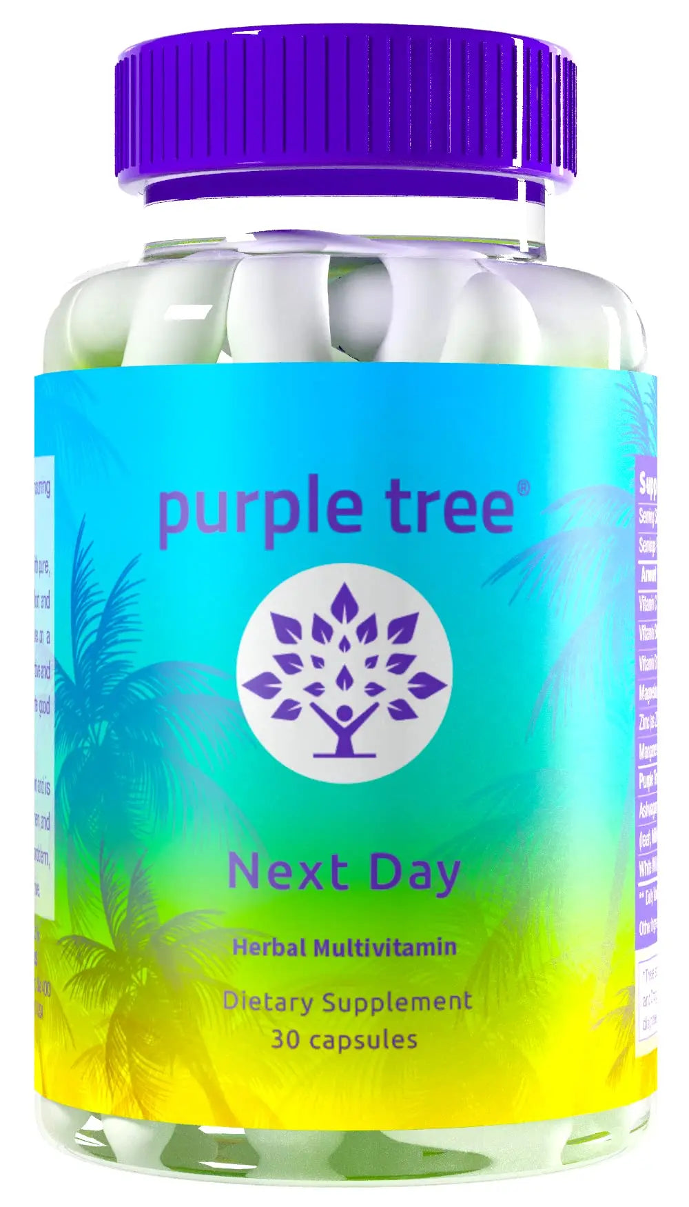 purple tree Next Day – Post-Drink Morning Wellness Supplement for Balance, Restore & Replenishment | Ashwagandha KSM-66, Milk Thistle, Ginger purple treeBuy Supplements Australia