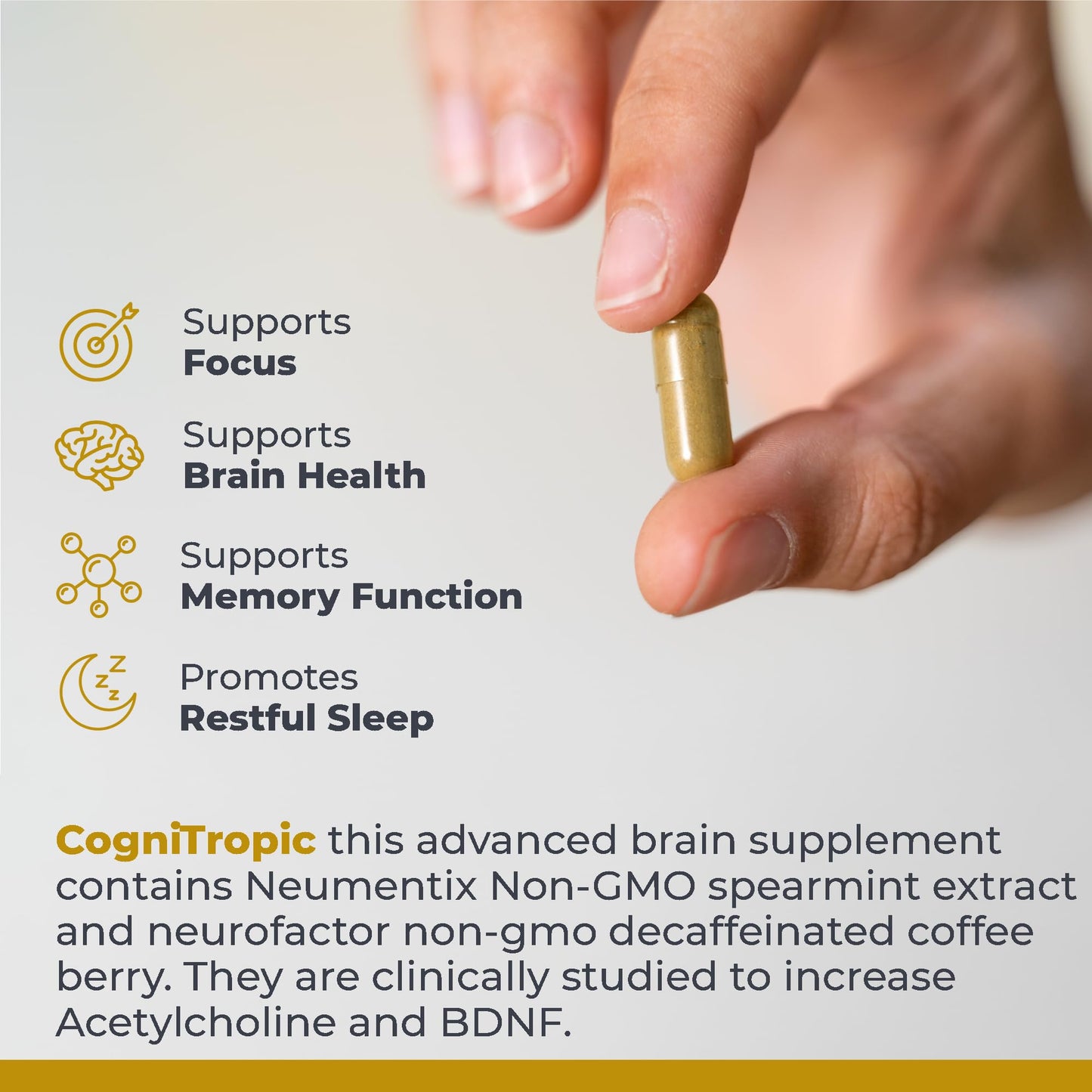 Premier Research Labs Cognitropic -  Supplements for Memory and Focus, Focus Supplement, Brain and Memory Power Boost, Clarity Vitamins
