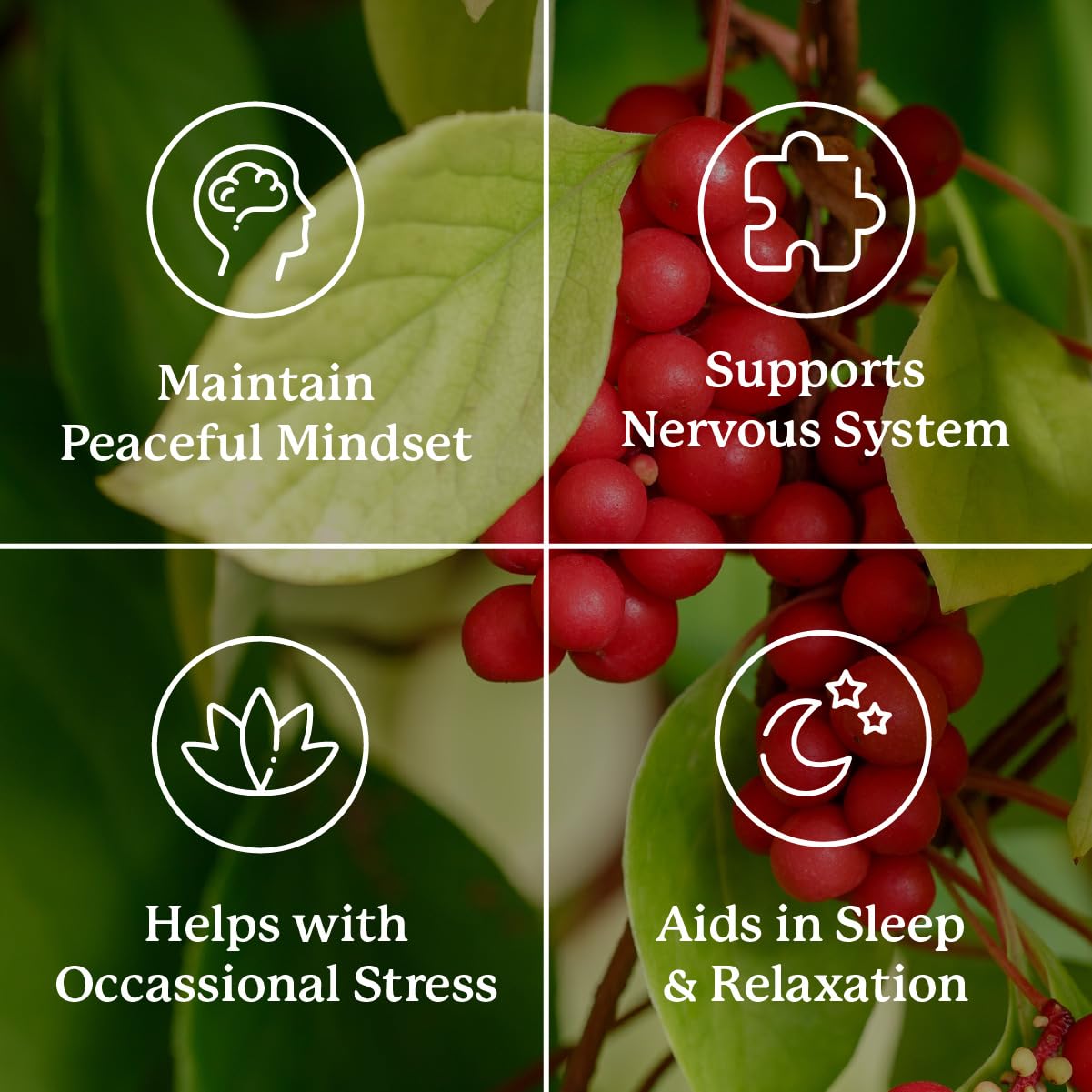 Nature's Sunshine Nutri-Calm- Herbal Stress Relief Supplement for Natural Relief, Mood Support and Boost, Nervous System Support - 100 Count Nature's SunshineBuy Supplements Australia