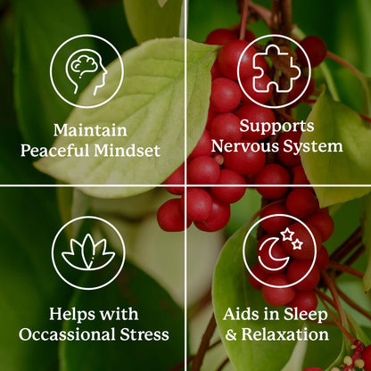 Nature's Sunshine Nutri-Calm- Herbal Stress Relief Supplement for Natural Relief, Mood Support and Boost, Nervous System Support - 100 Count Nature's SunshineBuy Supplements Australia