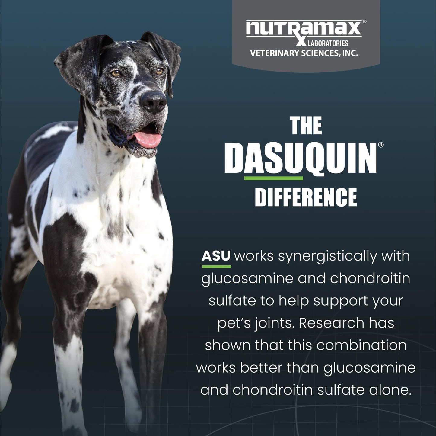 Nutramax Dasuquin for Large Dogs, Joint Health Supplement, Contains Glucosamine for Dogs, Plus Chondroitin, ASU and More, Supports Healthy Joints, Soft Chews, 150 Count Nutramax LaboratoriesBuy Supplements Australia