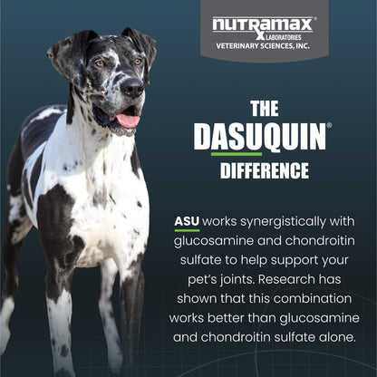 Nutramax Dasuquin for Large Dogs, Joint Health Supplement, Contains Glucosamine for Dogs, Plus Chondroitin, ASU and More, Supports Healthy Joints, Soft Chews, 150 Count Nutramax LaboratoriesBuy Supplements Australia