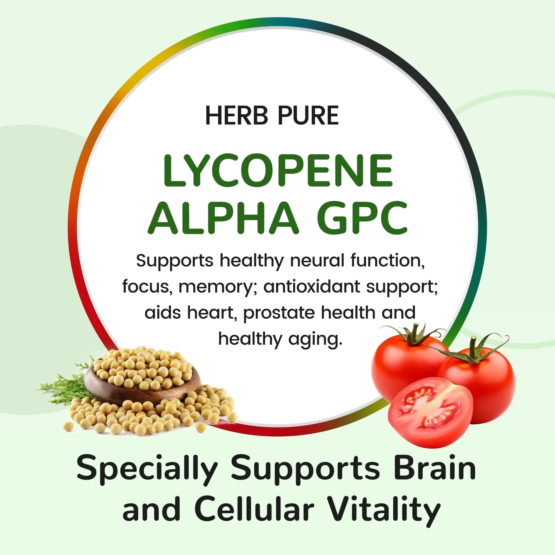 HERB PURE Multi Vitamin Complex Daily Multivitamin for Men and Women – 28 Essential Vitamins & Minerals with Active Vitamins, Superfood Blend, Alpha GPC HERB PURE