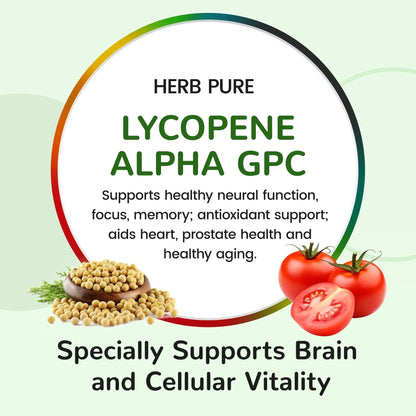 HERB PURE Multi Vitamin Complex Daily Multivitamin for Men and Women – 28 Essential Vitamins & Minerals with Active Vitamins, Superfood Blend, Alpha GPC HERB PURE