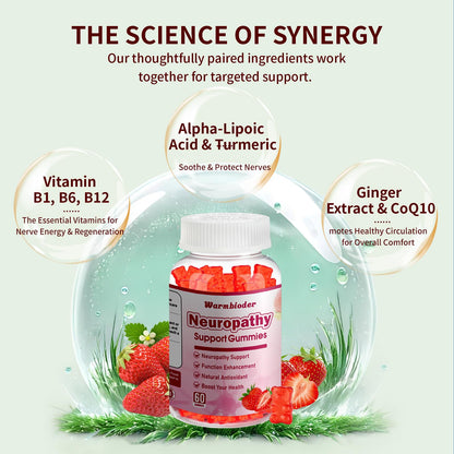Sugar Free Neuropathy Support Gummies for Nerve – Enhanced Nerve Health, Regeneration, Cognitive Support with Vitamin B1, B6, B12, Magnesium, ALA, Turmeric, CoQ10 & More WarmbioderBuy Supplements Australia
