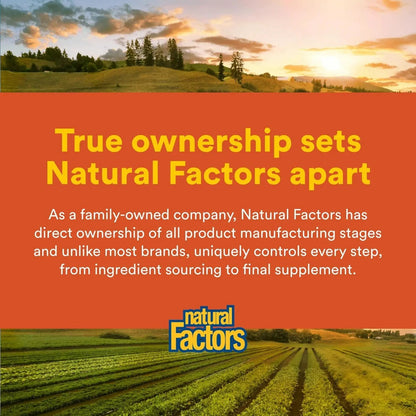 Natural Factors Hi Potency B Complex, 50 mg, 90 Capsules Natural FactorsBuy Supplements Australia