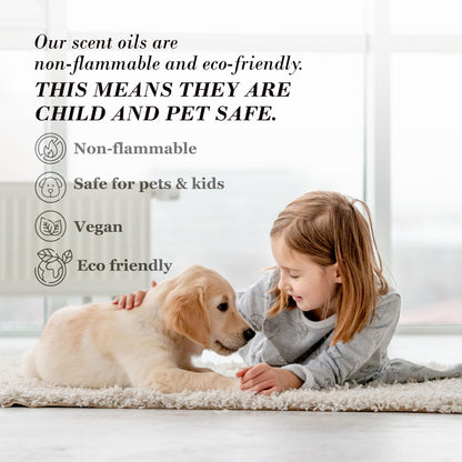 Aromaplan Sample Set, Top Picks Set Collection Exclusively for Smelling, NOT Machine USE AROMAPLANBuy Supplements Australia