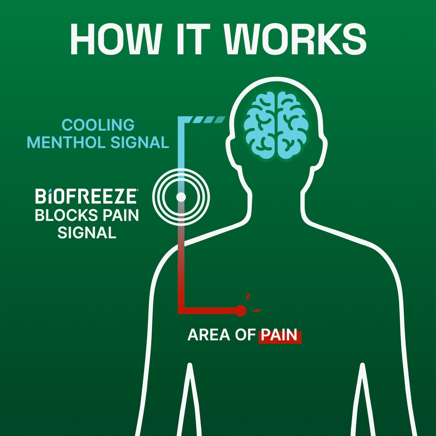 Biofreeze Pain Relief Gel for Knee, Neck, Hip, Joint, Shoulder, & Simple Backache, Arthritis Pain Reliever, Sore Muscle Relief, Colorless Menthol Gel 4 Fl Oz (Pack of 3) BiofreezeBuy Supplements Australia