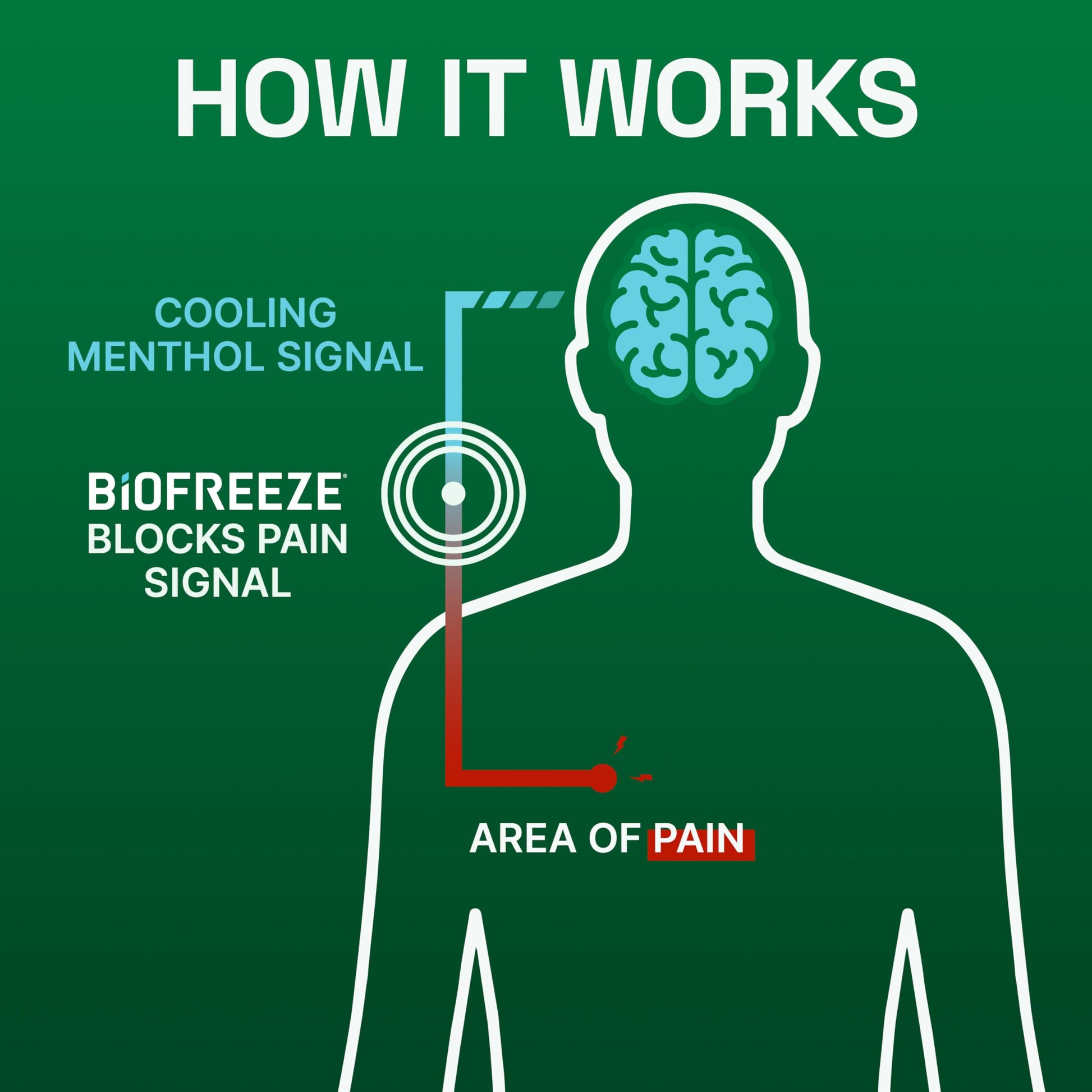 Biofreeze Pain Relief Gel for Knee, Neck, Hip, Joint, Shoulder, & Simple Backache, Arthritis Pain Reliever, Sore Muscle Relief, Colorless Menthol Gel 4 Fl Oz (Pack of 3) BiofreezeBuy Supplements Australia
