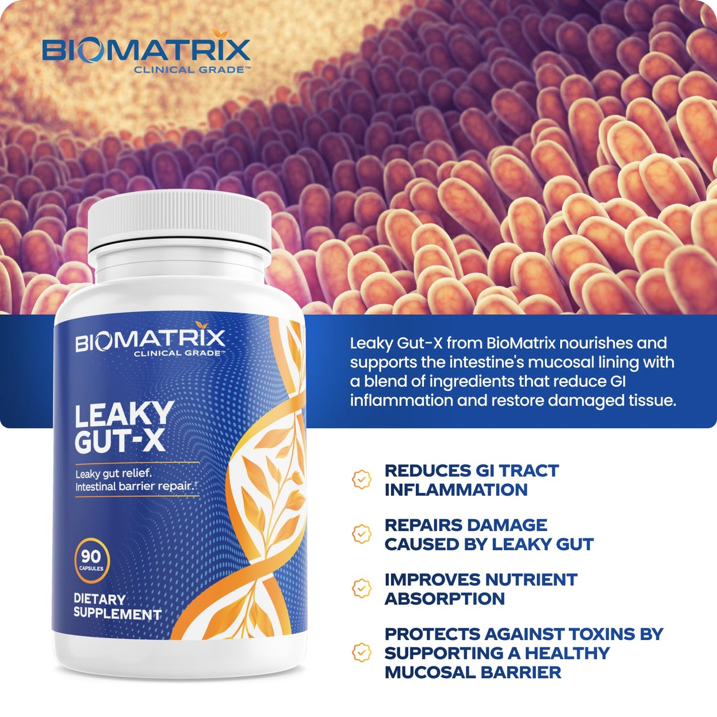 BioMatrix Leaky Gut Repair Supplement w/Glutamine, Quercetin, Cat's Claw, MSM, SIBO, Prebiotic Support, Intestinal Barrier Revive for Men and Women | 60-Day Supply – Leaky Gut-X BioMatrixBuy Supplements Australia