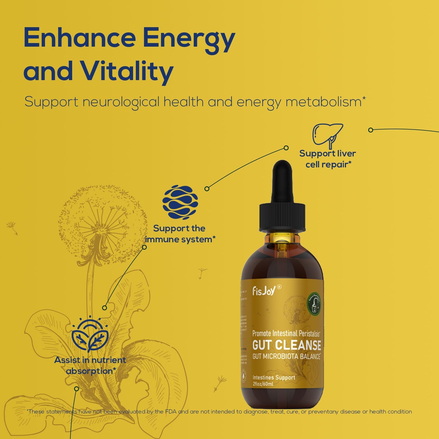Fisjoy L-Carnitine & Herbal Liquid Drops – Gentle Daily Digestive Support with Pumpkin Seed, Clove & PAU D’Arco Extracts, Folate & Chromium, Vegan, Sugar-Free, 2 fl oz (60 mL) FisjoyBuy Supplements Australia