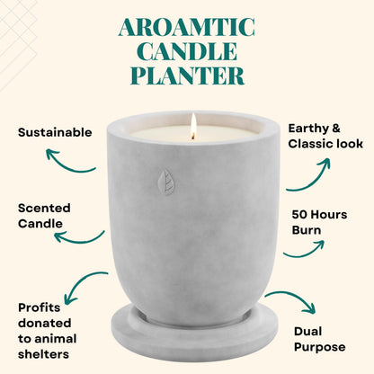 CandlePlanter Concrete Cement Candle Planter - Candles for Home Scented, Soy Candles CANDLEPLANTERBuy Supplements Australia