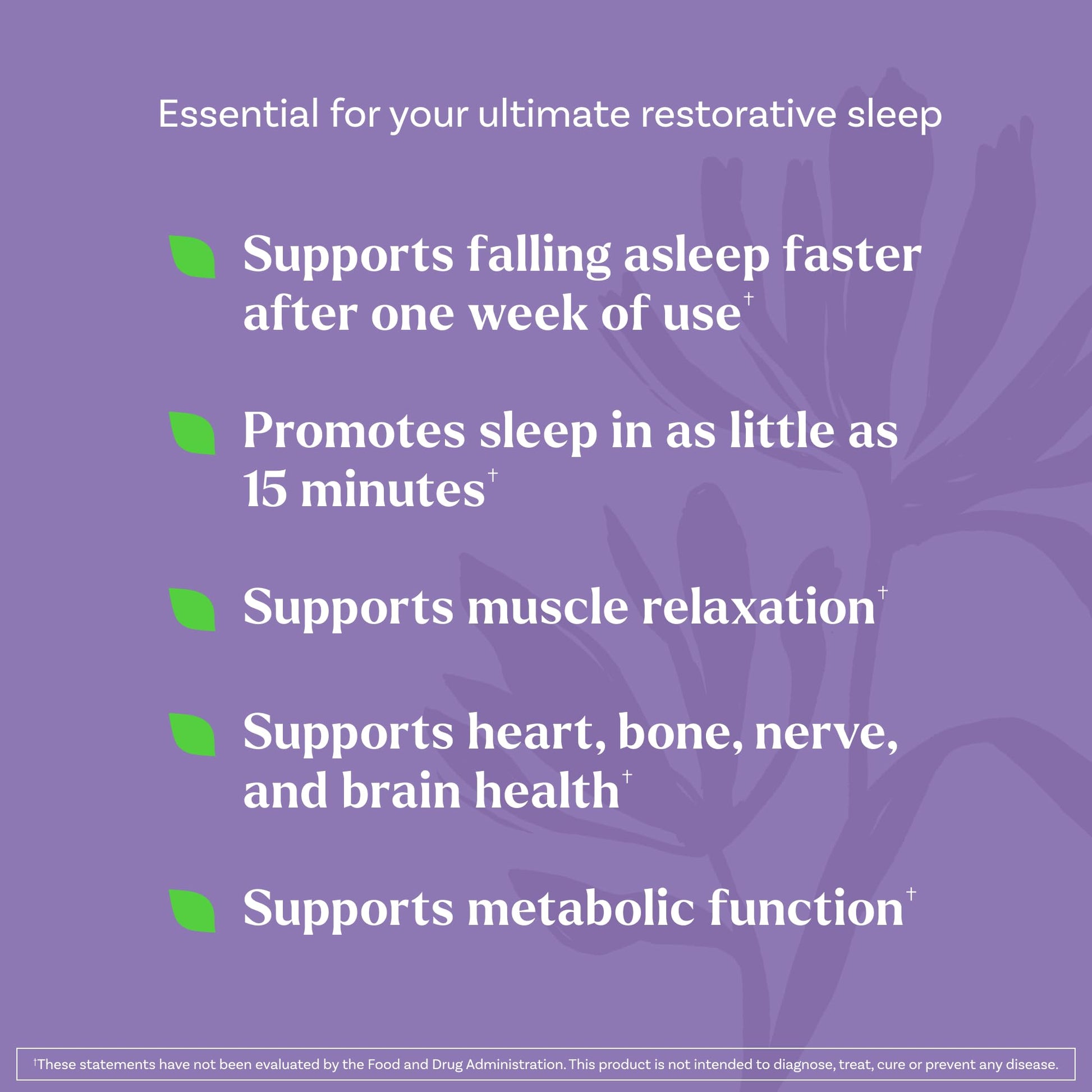 Natrol Sleep & Restore Capsules - Calm Magnesium Glycinate, Magnesium Sleep Aid with GABA, Melatonin 5mg, Botanical Blend, 30 Day Supply NatrolBuy Supplements Australia