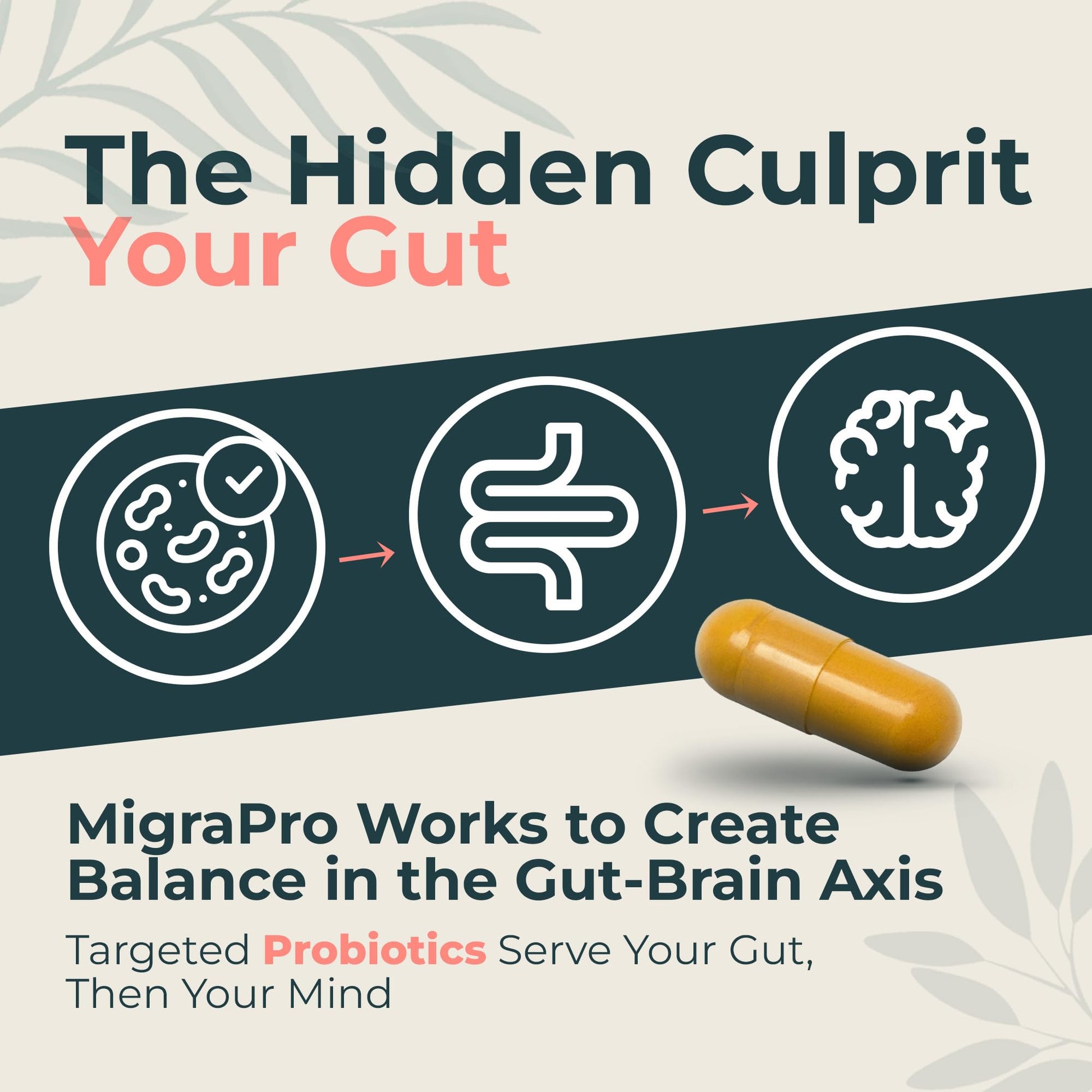 Dr. Munnerlyn MigraPro with Probiotics, Brain and Gut Health Support Supplement with Magnesium, Riboflavin, CoQ10, Ginger Root, Asian Ginseng, Vitamin C, Feverfew & Turmeric, Gluten Free, 90 Capsules Dr. MunnerlynBuy Supplements Australia