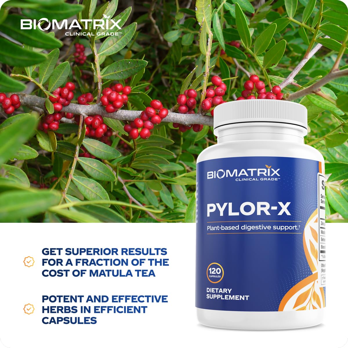 BioMatrix Pylor-X Gut Health Supplement – Mastic Gum, Berberine, Zinc Carnosine & Bismuth Salts for Gastric Support, Digestive Comfort, Stomach Lining Protection - (120 Capsules) 30-60 Day Supply BioMatrixBuy Supplements Australia