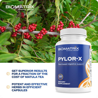 BioMatrix Pylor-X Gut Health Supplement – Mastic Gum, Berberine, Zinc Carnosine & Bismuth Salts for Gastric Support, Digestive Comfort, Stomach Lining Protection - (120 Capsules) 30-60 Day Supply BioMatrixBuy Supplements Australia