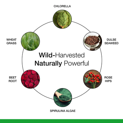 Dr. Schulze's SuperFood Plus - Everyday Superfood Supplement to Support Overall Wellness - Clean, Quality Nutrition - Supports Metabolism & Daily Energy - Gluten-Free & Dairy-Free - 390 Tablets Dr. Schulze'sBuy Supplements Australia