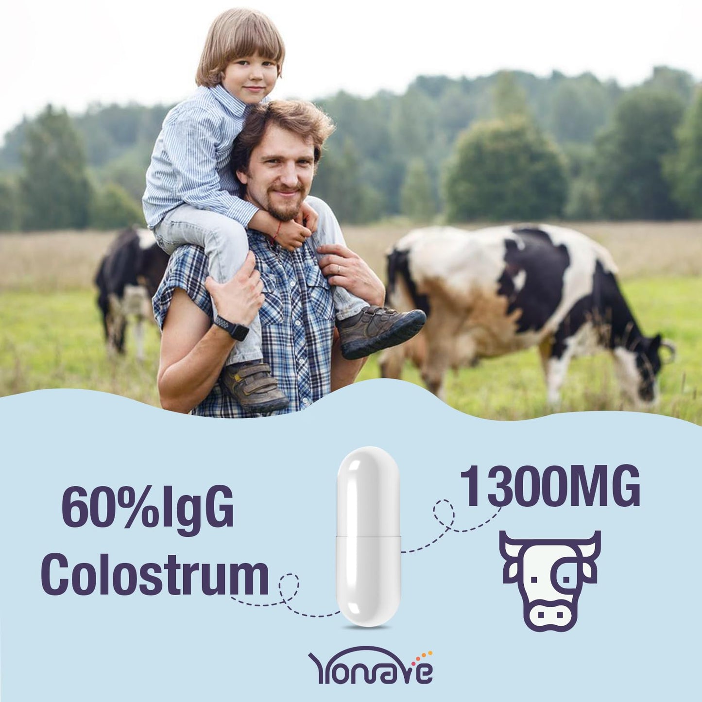Yonrave Bovine Colostrum Capsules Supplement 1300mg - Extra High 60% IgG Bovine Colostrum - Gut, Bone, Exercise, Immune - 60 Capsules YonraveBuy Supplements Australia