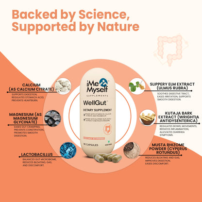 iMeMyself WellGut Daily Herbal Supplement | Traditional Herbs with Minerals & Probiotics 90 Vegan Capsules iMeMyselfBuy Supplements Australia