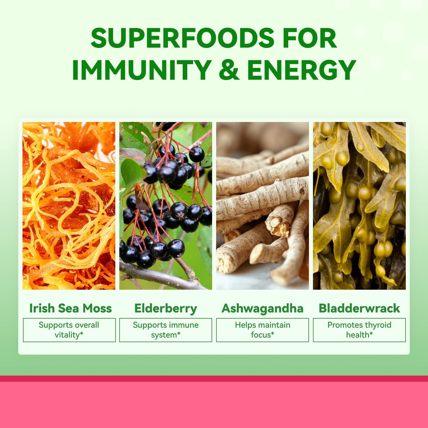 Inner Brightness Sea Moss 4000mg Gummies with Ashwagandha, Elderberry, Apple Cider Vinegar, Bladderwrack, Burdock Root – Immune Support – Mixed Berry Flavor – 60 Count Inner BrightnessBuy Supplements Australia