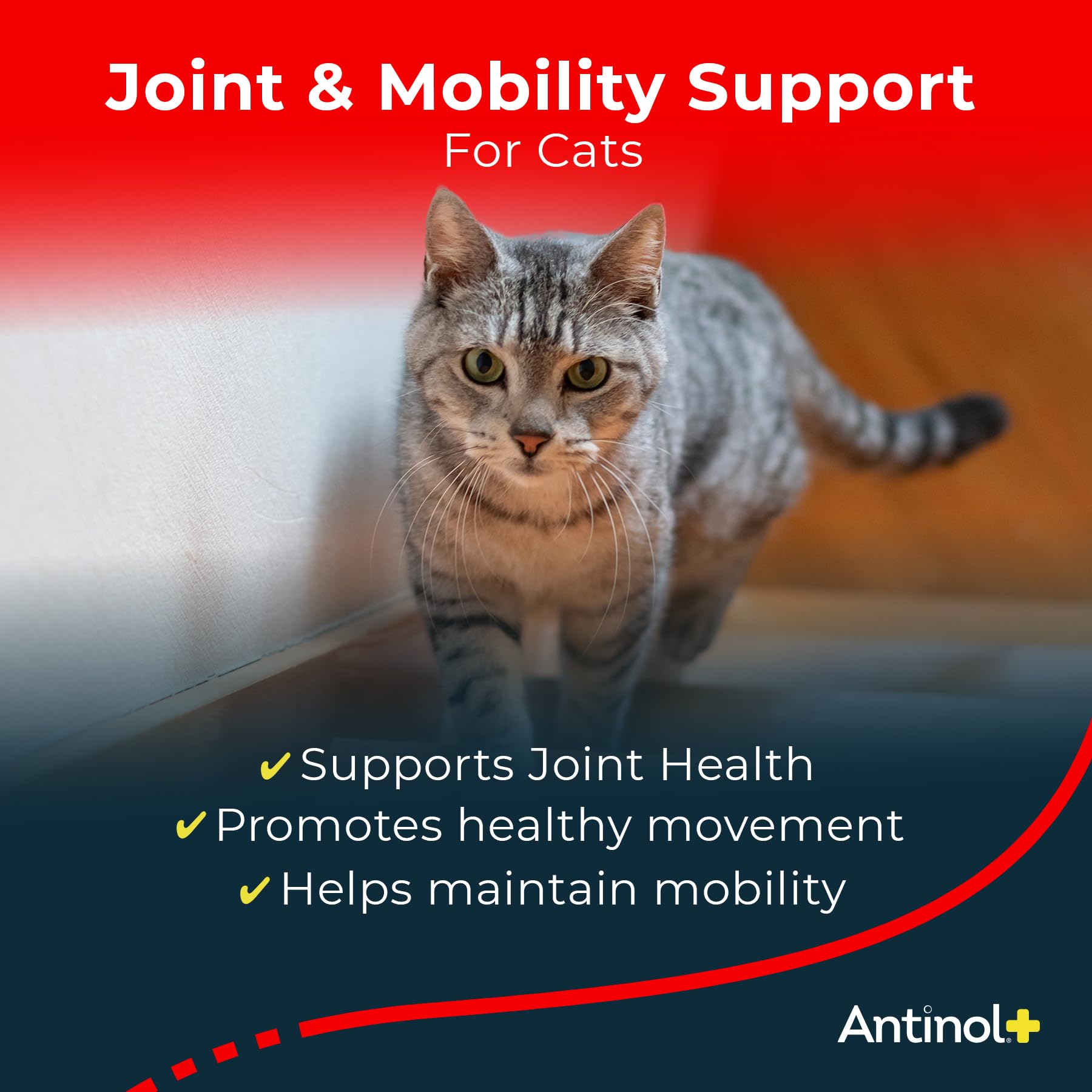 Antinol Plus, Mobility, Hip, and Joint Supplement for Cats, Green-Lipped Mussels and Krill Oil - Cat Joint Supplement, 30 Soft Gels AntinolBuy Supplements Australia