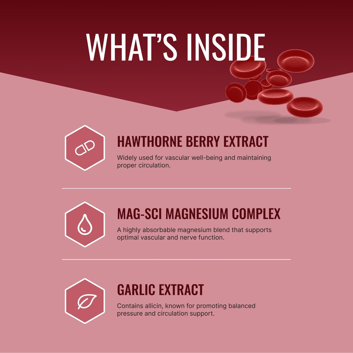 Approved Science Bloodsyl - Supports Blood Flow - Hawthorn Berry, Magnesium, BioPerine - Vegan - 180 Capsules - Pack of 1 Approved ScienceBuy Supplements Australia