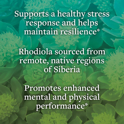 kokora Extra Strength Rhodiola Rosea – Stress Relief, Endurance & Promotes Mental & Physical Performance* - with Siberian Rhodiola, Rosavins, Organic Holy Basil - Vegan, Non-GMO - 60 Capsules kokoraBuy Supplements Australia