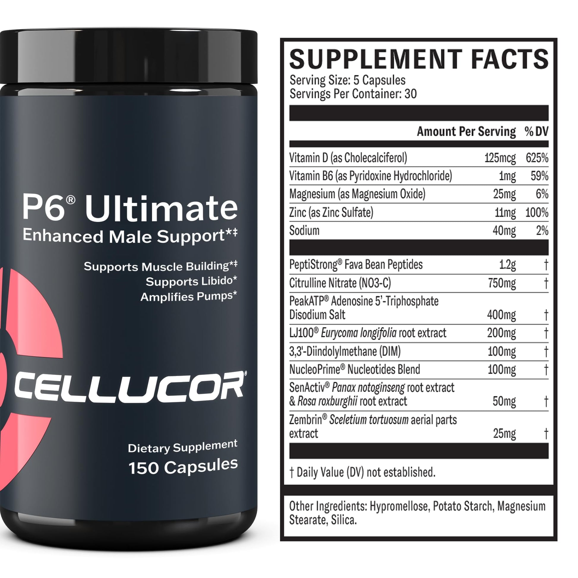Cellucor P6 Ultimate - Enhanced Support for Men | Supports Muscle Growth & Strength CellucorBuy Supplements Australia