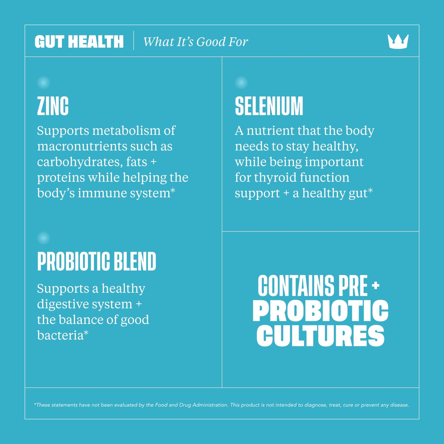 Health By Habit Gut Health Supplement (60 Capsules) - Contains 1.5 Billion probiotic Health By HabitBuy Supplements Australia