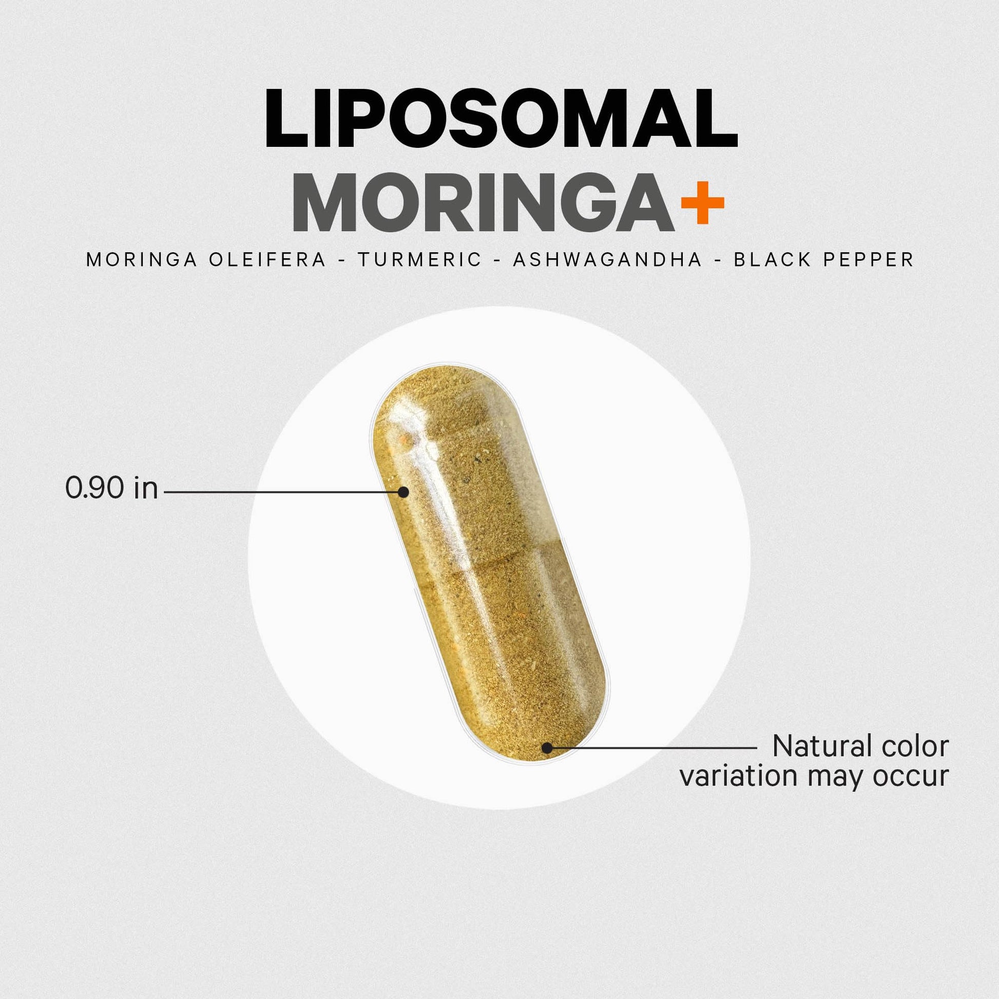 Codeage Liposomal Moringa+ Supplement, 400mg Moringa 50:1 Extract - Turmeric, Ashwagandha, Black Pepper, 3-Month Supply, Vegan Moringa Powder - 180 Capsules CodeageBuy Supplements Australia