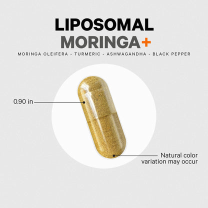 Codeage Liposomal Moringa+ Supplement, 400mg Moringa 50:1 Extract - Turmeric, Ashwagandha, Black Pepper, 3-Month Supply, Vegan Moringa Powder - 180 Capsules CodeageBuy Supplements Australia
