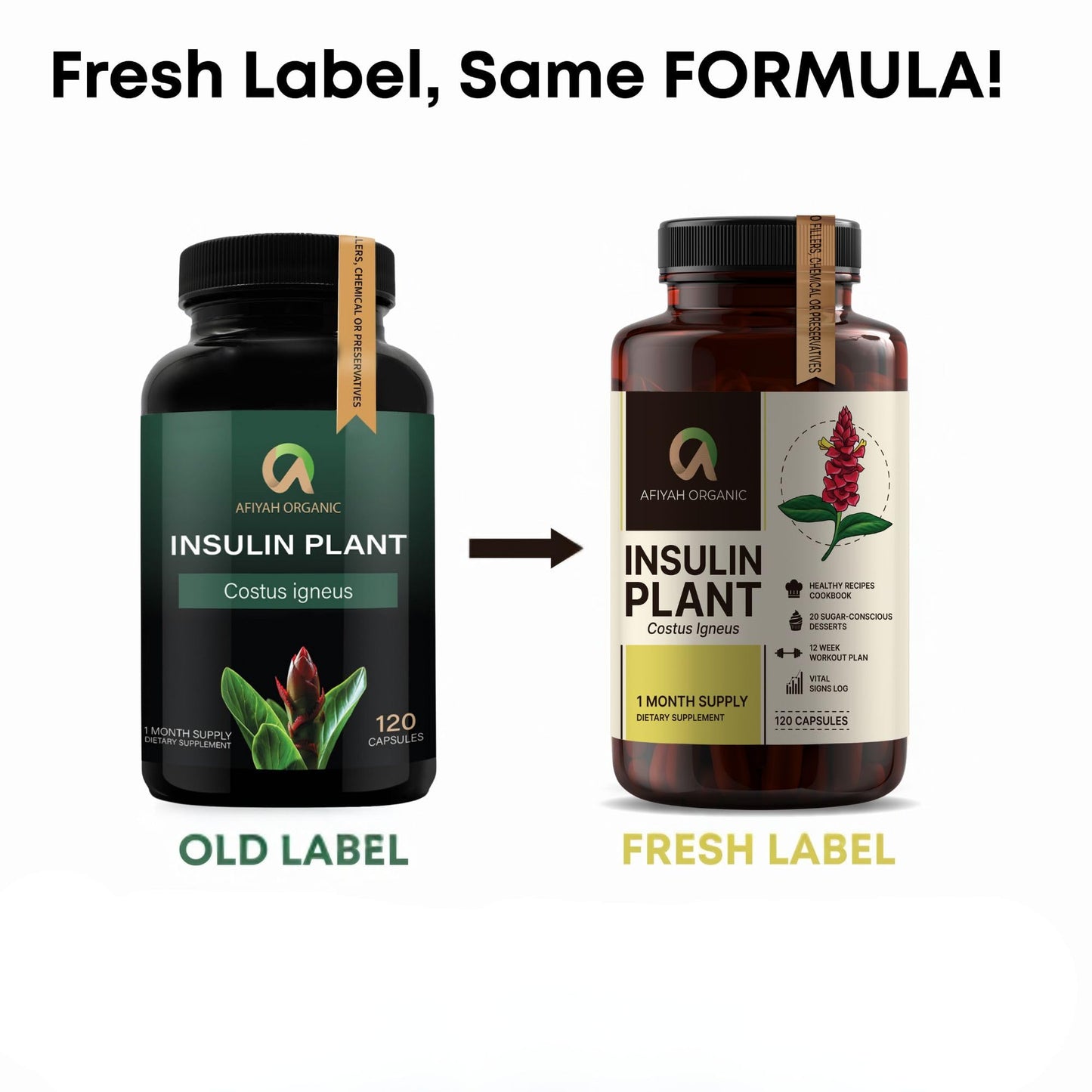 Afiyah Organic - Premium Quality Costus Igneus (Insulin Plant) Capsules - Easy to Swallow 120 Veggie Capsules (1 Month Supply) - Made in the USA - Including Complete Health Support Program Afiyah OrganicBuy Supplements Australia
