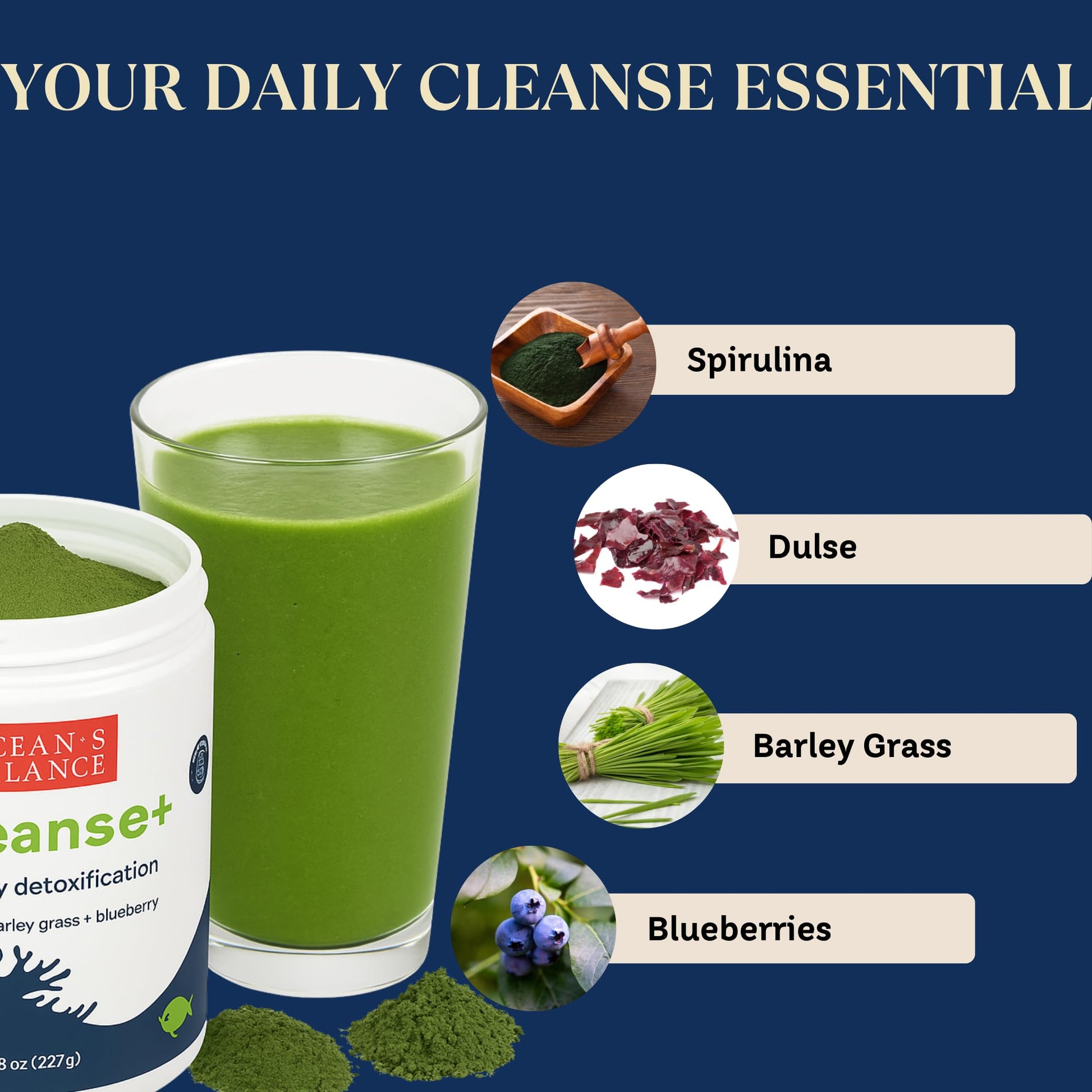 Ocean's Balance Seacleanse+ Daily Detox Cleanse Powder | Gut Health & Immune Support | Supports Gentle Cleanse & Vitality | 8oz Ocean's Balance Clean Taste of MaineBuy Supplements Australia