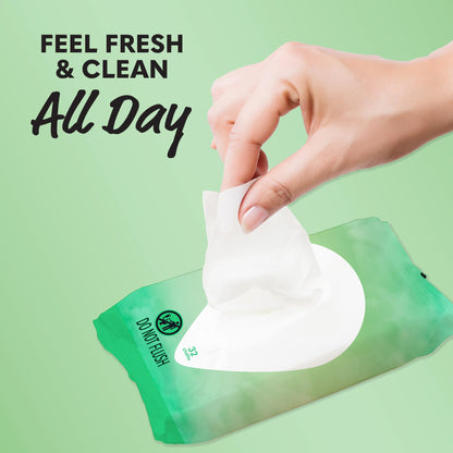 Summer's Eve Aloe Love Gentle Daily Feminine Wipes, Removes Odor, pH balanced, 32 Count, 12 Pack Summer's EveBuy Supplements Australia