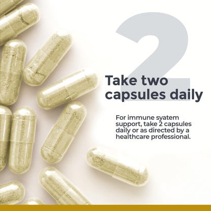 Premier Research Labs Vitamin C Supplement - Natural Vitamin C, Whole Food Vitamin C, Essential C Complex, Pure with Bioflavonoids & Organic Ingredients - 60 Vegetarian Capsules Premier Research LabsBuy Supplements Australia