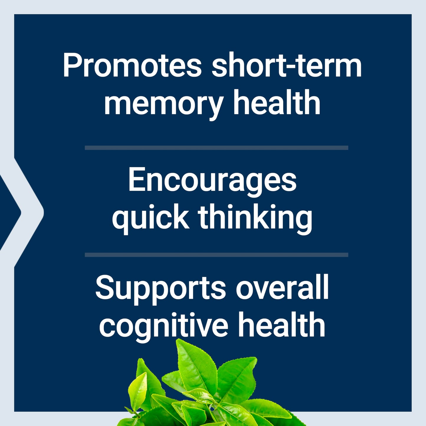 Life Extension Neuro-Mag Magnesium L-Threonate, Memory Health, Quick Thinking, Cognitive Health Support, Vegetarian, Non-GMO, 90 Vegetarian Capsules
