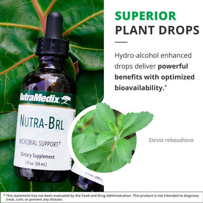 Nutramedix Nutra BRL - Liquid Herbal Supplement for Gut Health & Immune Support - Samento & Banderol for Digestive Health - Immune System Booster Supplement (60mL) NutraMedixBuy Supplements Australia