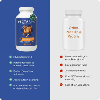 ecoNugenics PectaPaws Chewable Dog Supplements – Beef Flavor, 90 Count – PectaSol Modified Citrus Pectin + Glucosamine HCI for Dogs of All Ages, Supports Mobility, Joints, Immune Function, Pain Relief EcoNugenicsBuy Supplements Australia