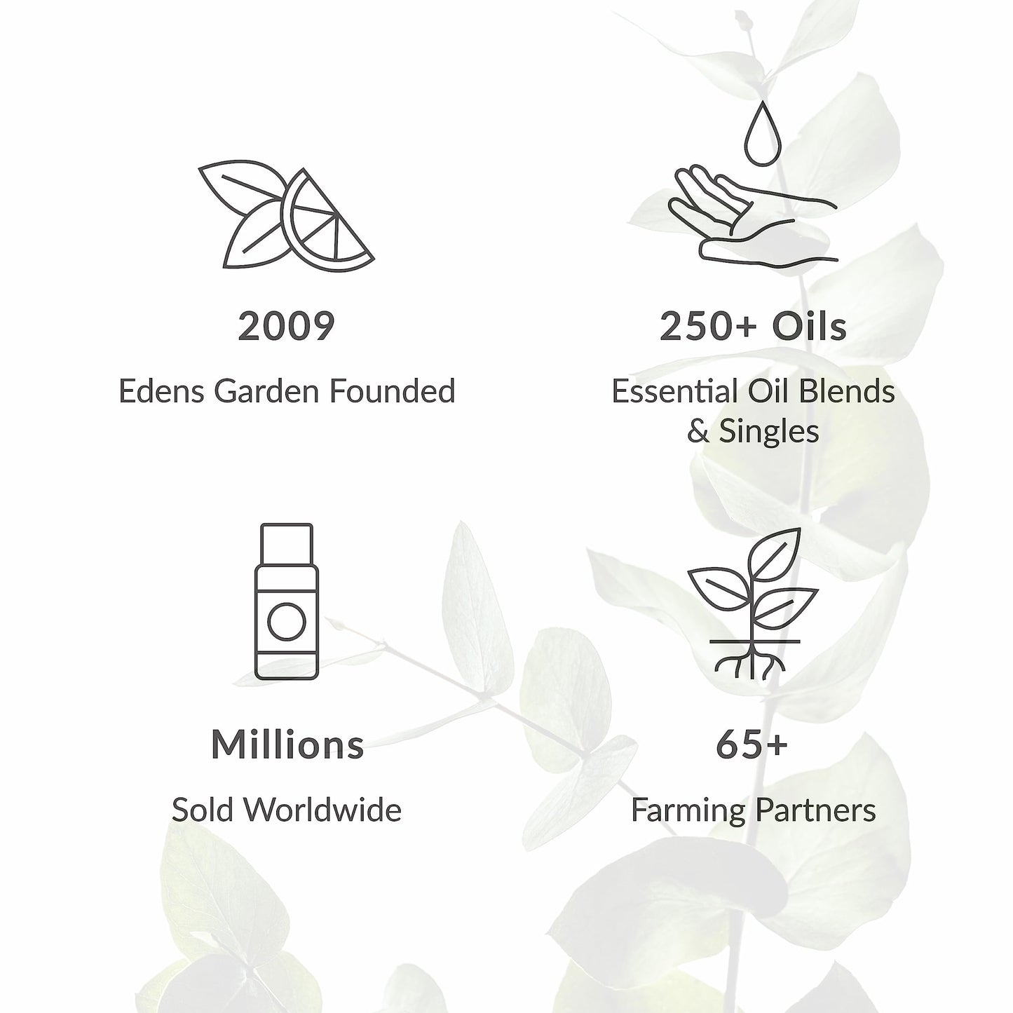 Edens Garden Essential Oil Well-Being Set, 3 Pure Essential Oils for Diffusers for Home Edens GardenBuy Supplements Australia