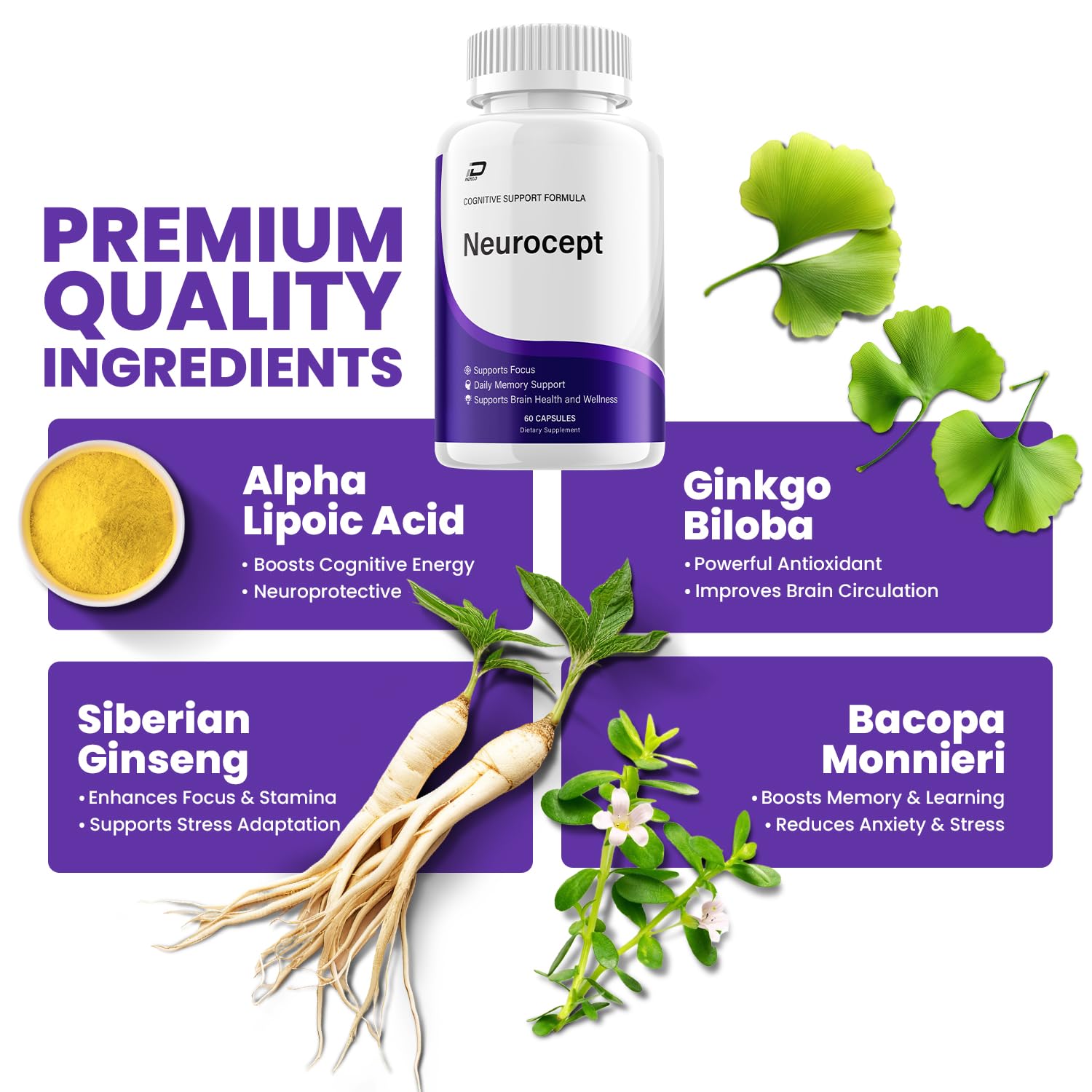 Neurocept Supplement Capsules – All Natural Maximum Strength Formula, Focus & Memory Support (60 Capsules) IndeloBuy Supplements Australia
