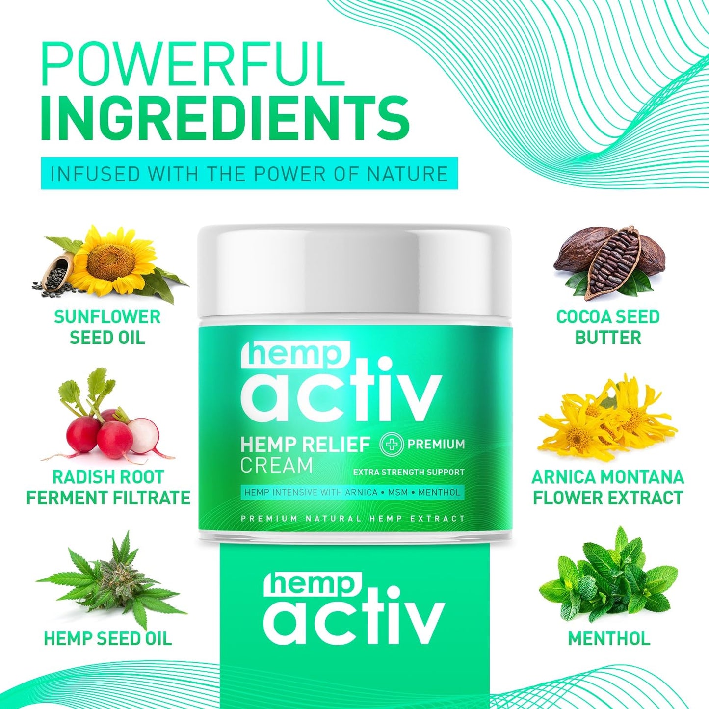 HEMPACTIV Cooling Hemp Cream – Menthol, MSM & Arnica – Fast-Absorbing, Non-Greasy Formula for Muscles & Joints – 4oz Best-Value Size HEMPACTIVBuy Supplements Australia