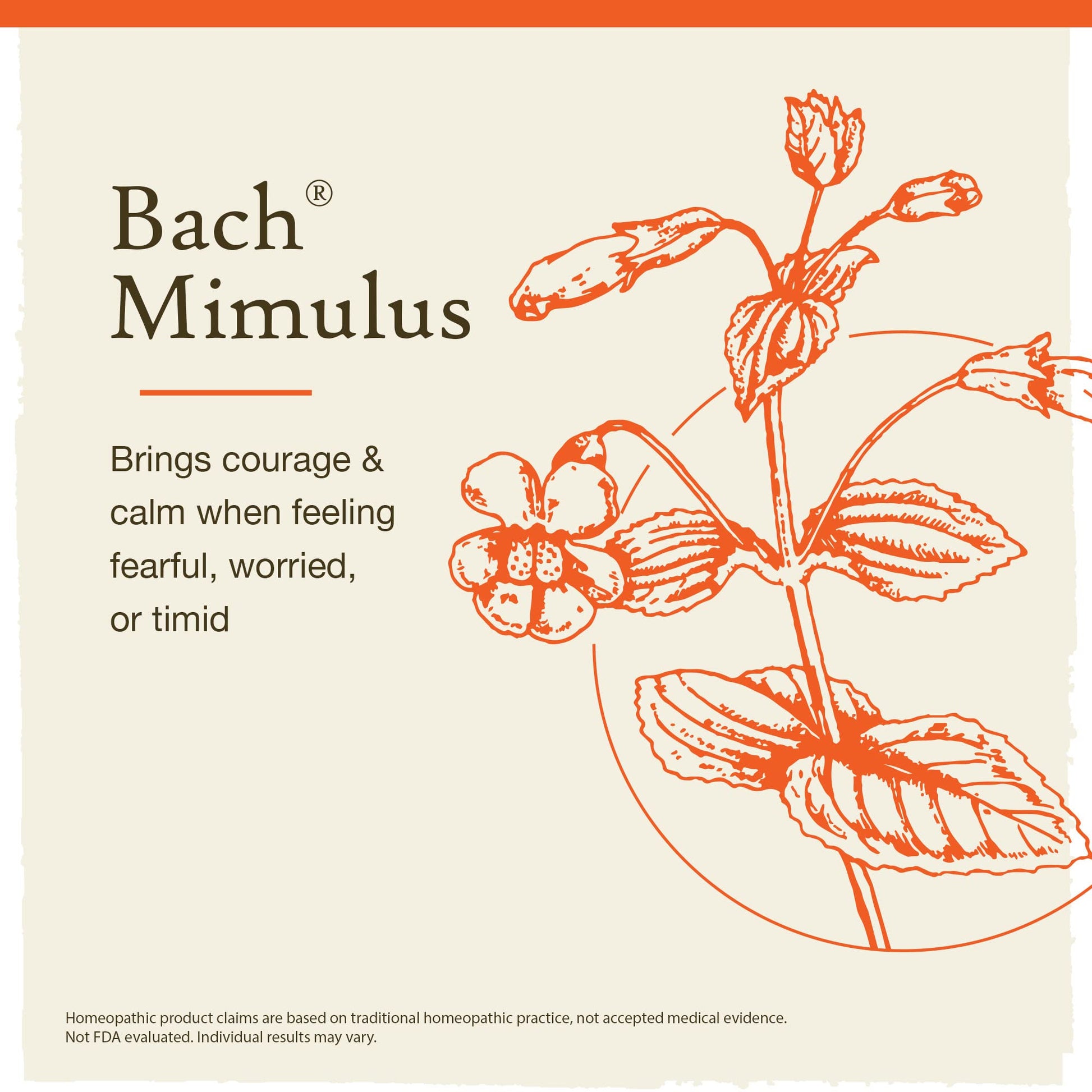 Bach Original Flower Remedies, Mimulus for Facing Fears (Non-Alcohol Formula), Natural Homeopathic BachBuy Supplements Australia