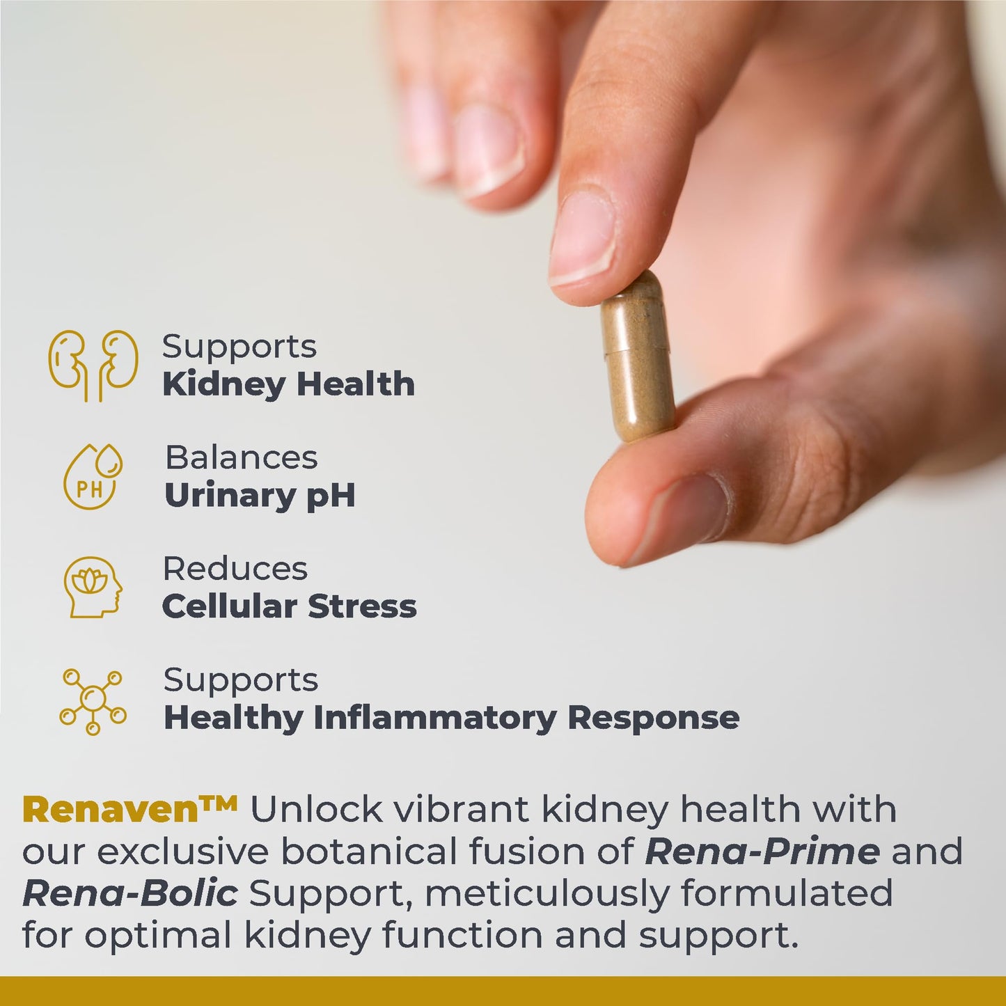Premier Research Labs RenaVen - Premier Kidney Support for Kidney Cleanse Detox and Repair | Improve Kidney Function and Urinary Support with Fermented Cordyceps - 60 Plant-Source Capsules Premier Research LabsBuy Supplements Australia