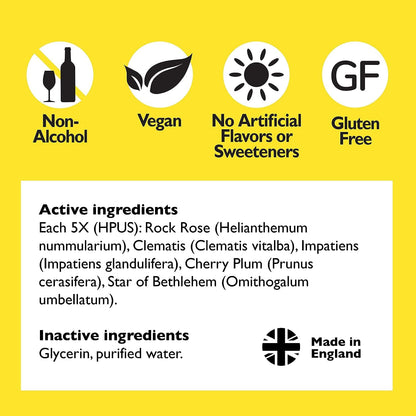 Bach RESCUE Remedy Dropper 10mL Bundle, Non-Alcohol Formula, Natural Stress Relief RESCUEBuy Supplements Australia