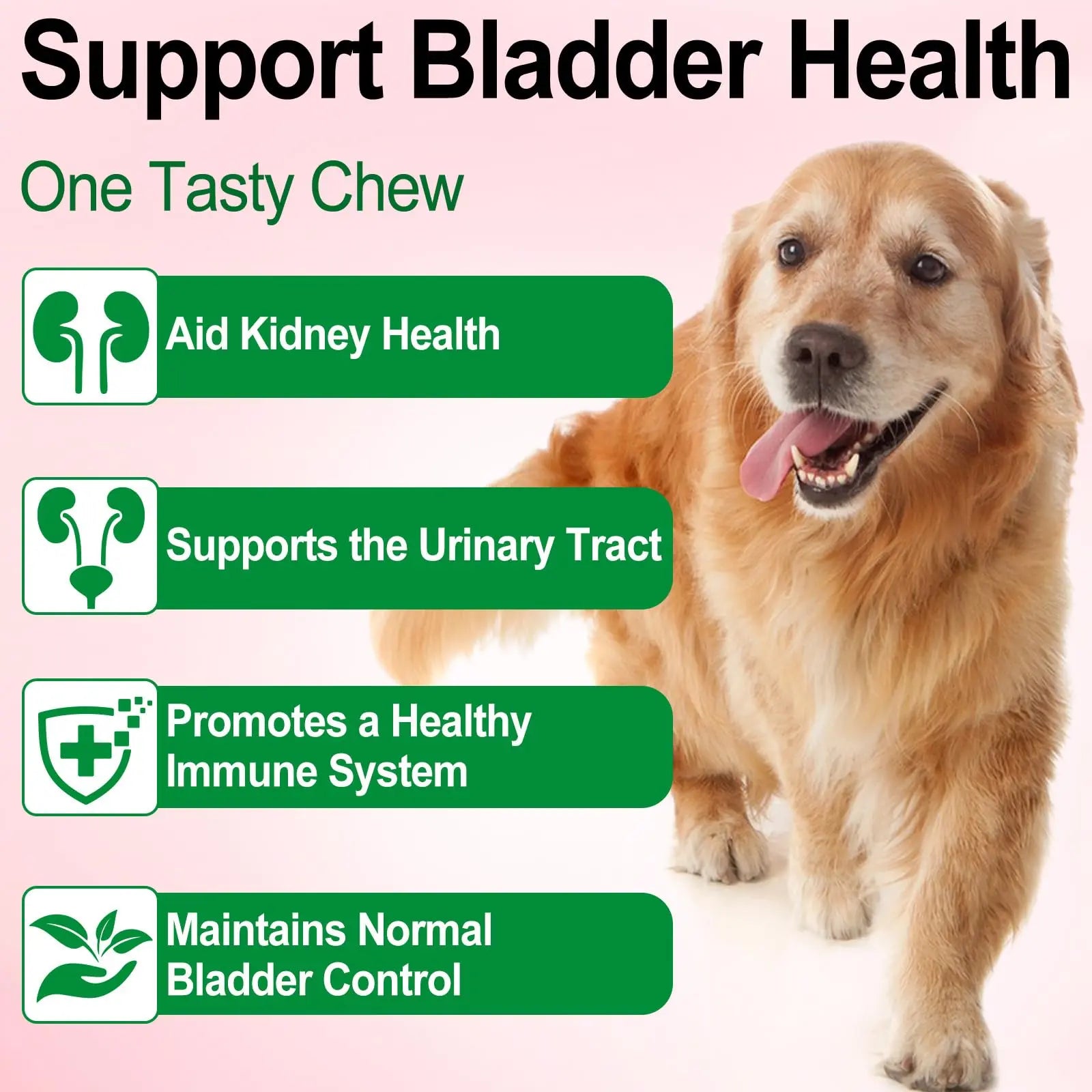 Dog UTI Treatment - Urinary Tract Infection Treatments, Kidney+Bladder Support Supplement, Natural Cranberry Extract for Dogs, Supports Urinary and Digestive Health (2 Fl Oz (Pack of 2)) OnznozBuy Supplements Australia