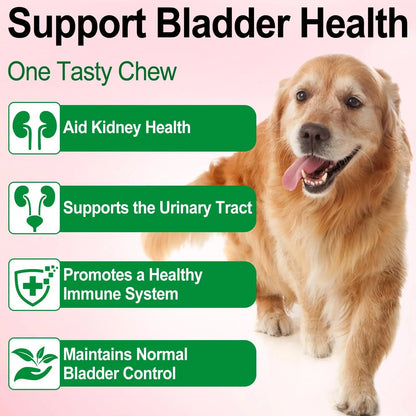 Dog UTI Treatment - Urinary Tract Infection Treatments, Kidney+Bladder Support Supplement, Natural Cranberry Extract for Dogs, Supports Urinary and Digestive Health (2 Fl Oz (Pack of 2)) OnznozBuy Supplements Australia