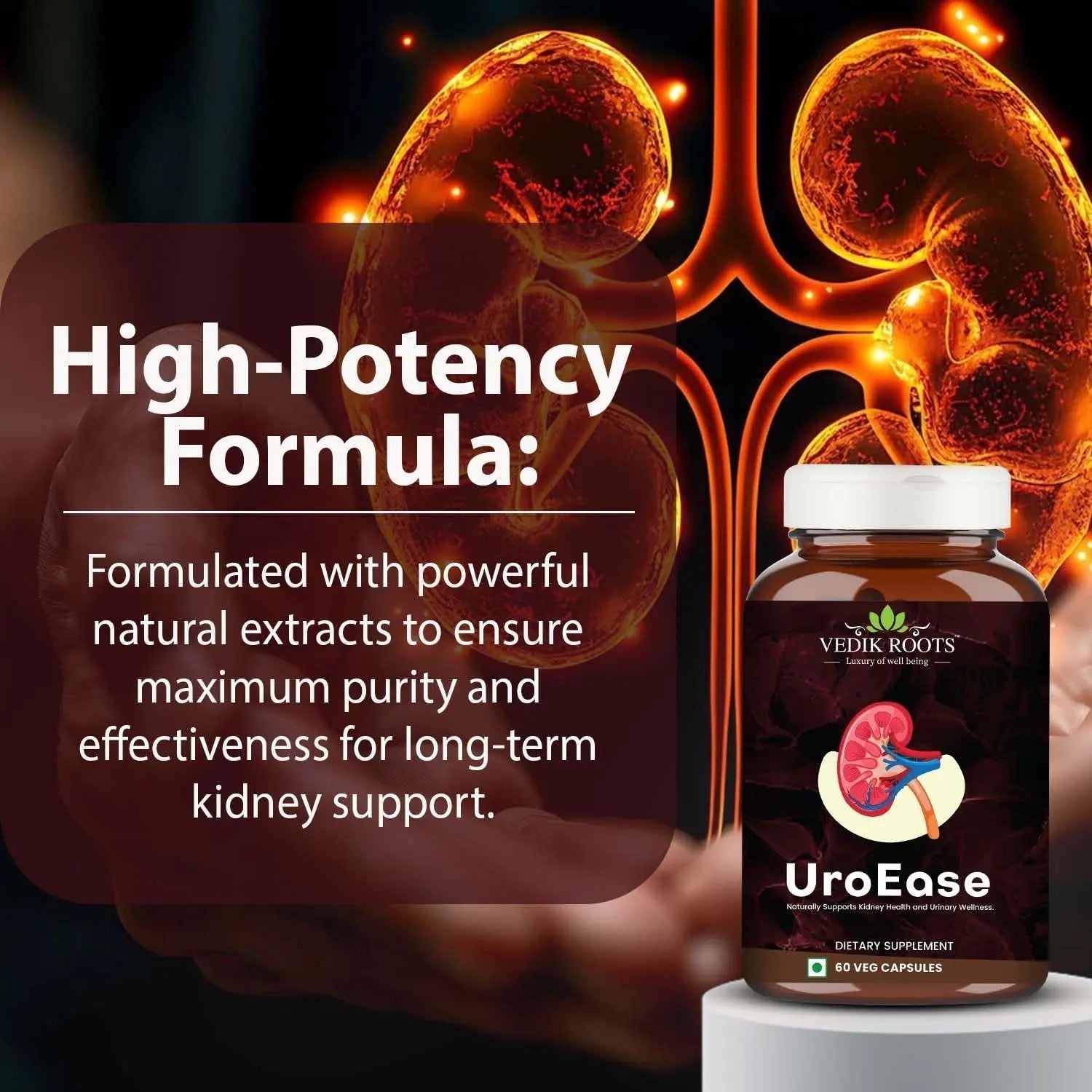 VEDIKROOTS UroEase | Ayurvedic Herbal Supplement for Kidney Health & Uric Acid Levels | Supports Urinary Tract Health | 60 Veg Capsules VEDIKROOTSBuy Supplements Australia
