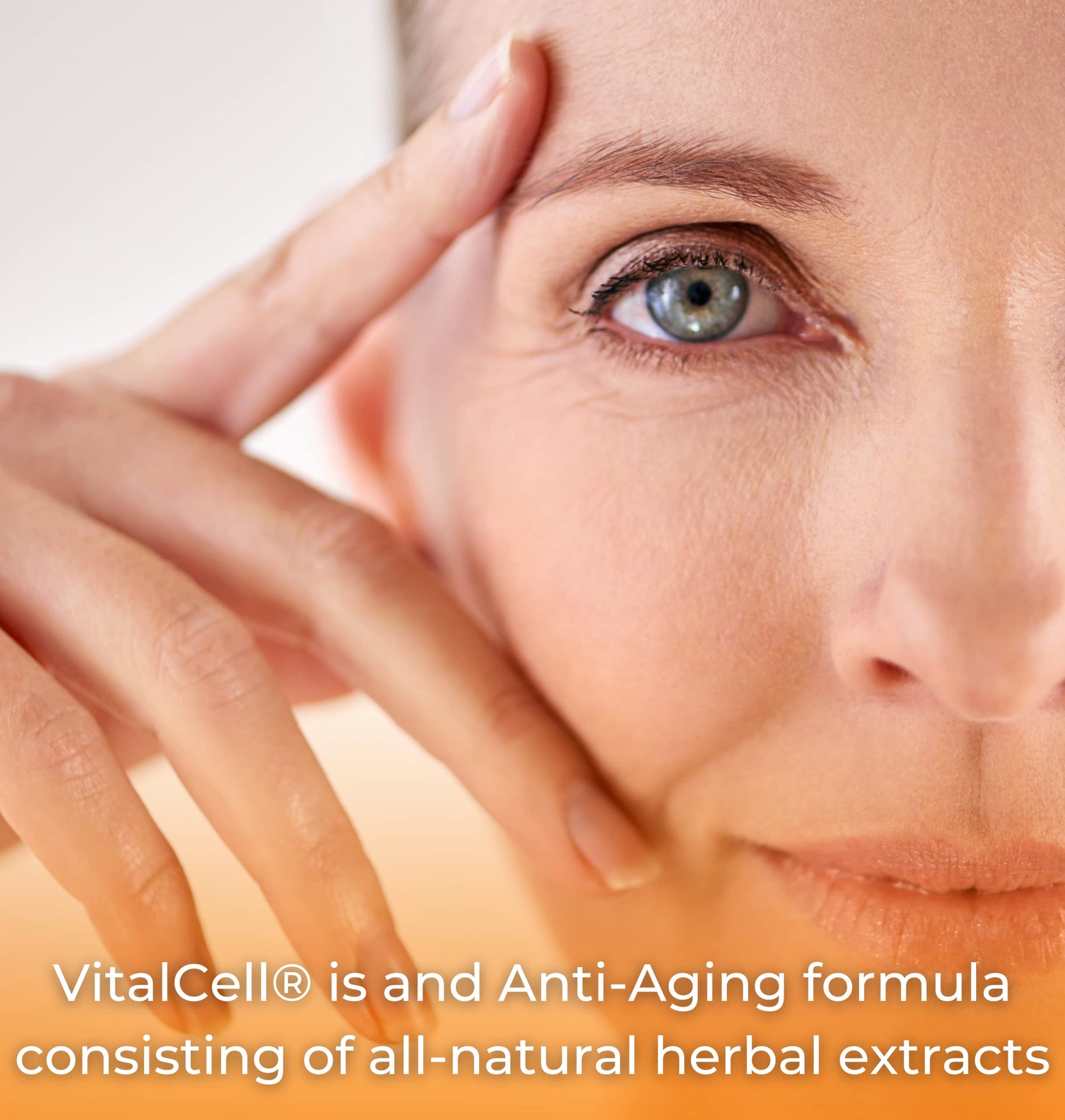 Vital Cell Natural Anti-Aging Supplement for Men and Women, Supporting Circulation and Healthy Organ Function (180 Vegetarian Capsules) TangoBuy Supplements Australia