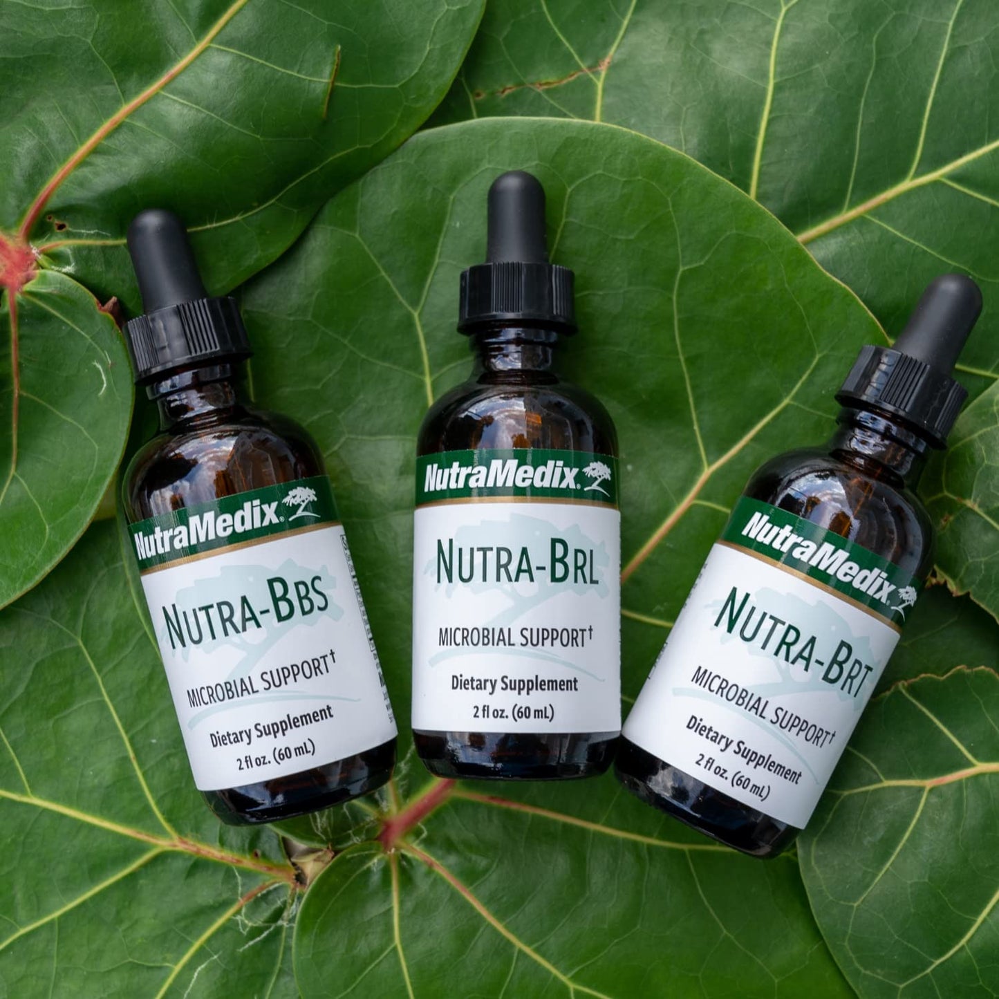 Nutramedix Nutra BRT - Liquid Herbal Supplement for Gut Health & Immune Support - Cumanda Bark & Houttuynia Leaf for Digestive Health - Immune System Booster Supplement (60mL) NutraMedixBuy Supplements Australia